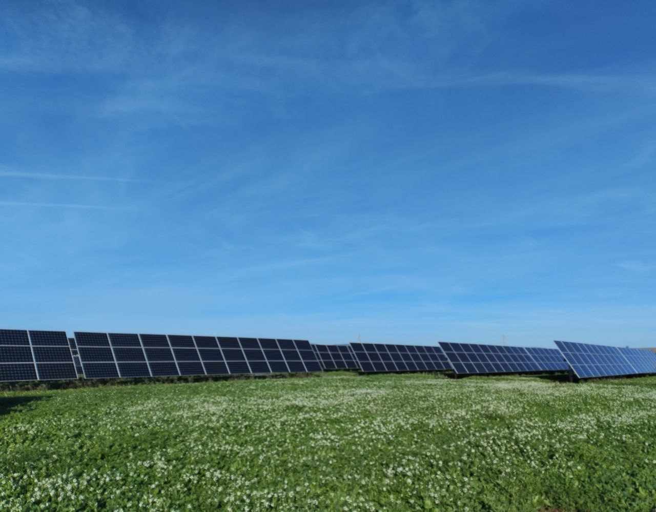 Rafael Calvo-Júdici: 