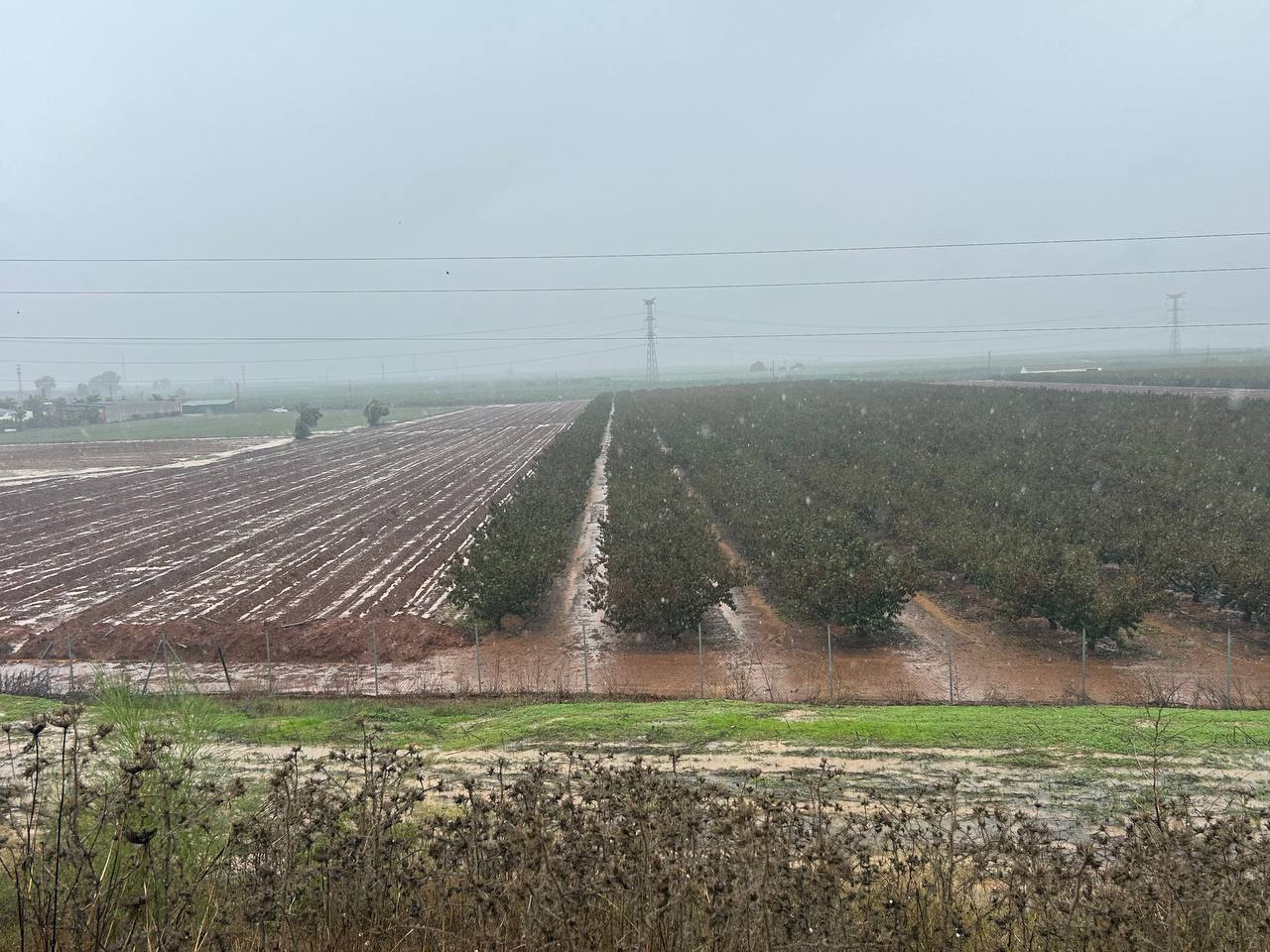 Más de dos meses sin necesidad de utilizar nuestras reservas: sólo se ha utilizado el agua de las balsas para las maniobras contra las especies invasoras