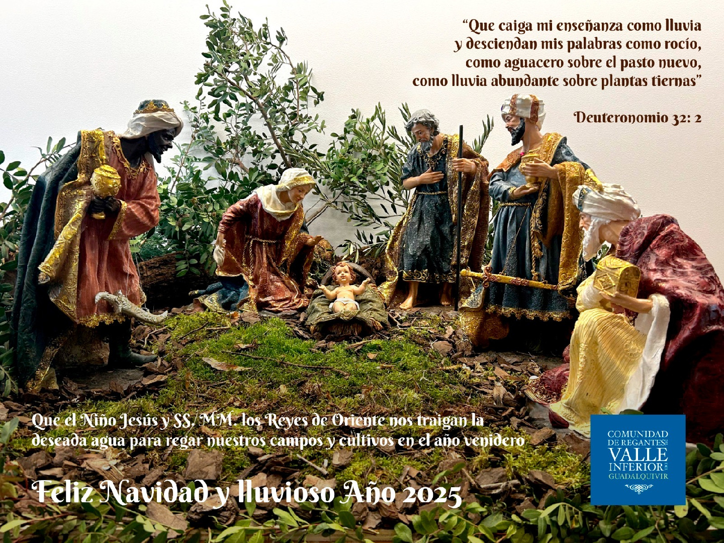 Feliz Navidad y lluvioso Año Nuevo 2025