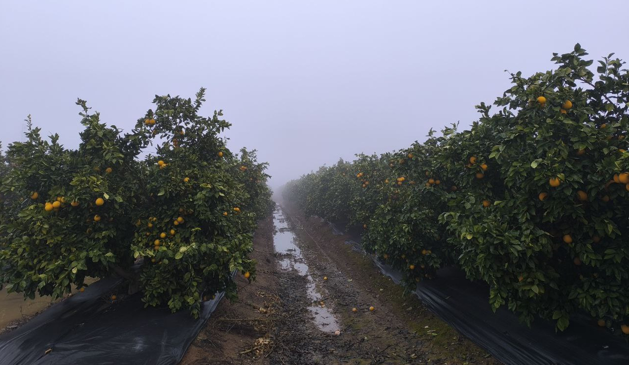 Los embalses recuperan niveles tras las lluvias de los últimos días: leve mejora en la disponibilidad de agua para la próxima campaña de riego