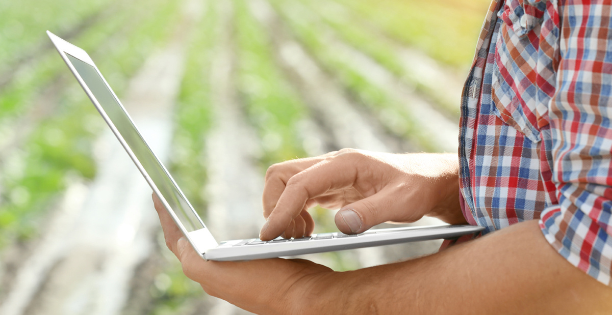 Un total de 310 comunidades de regantes en España, entre ellas el Valle Inferior, han presentado proyectos para recibir ayudas del 2º PERTE Digital del Agua