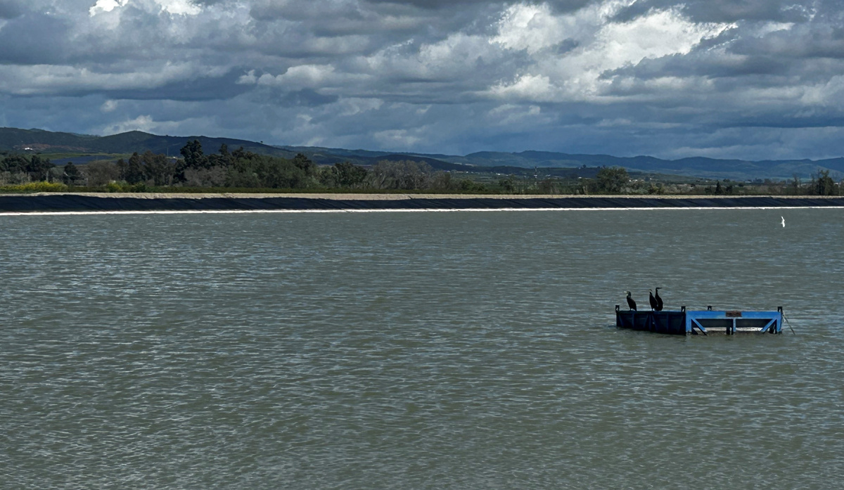La Regulación General se pone al 44% y ¡subiendo!