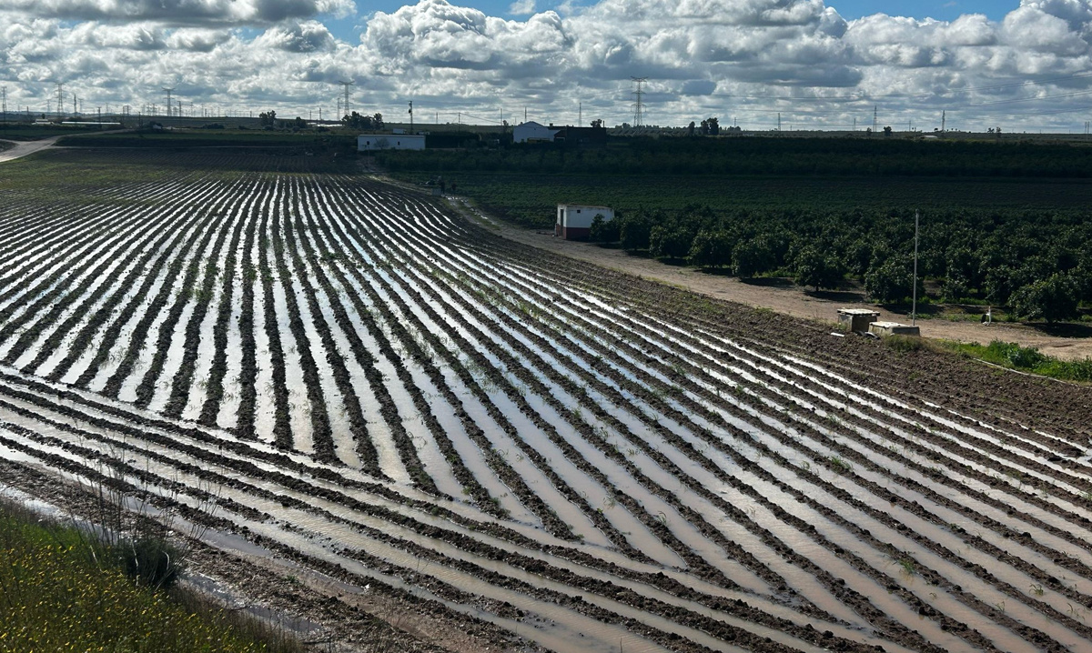 ¿No habíamos visto 