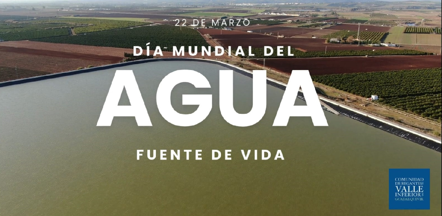 Día Mundial del Agua: cuidemos de nuestro bien más preciado