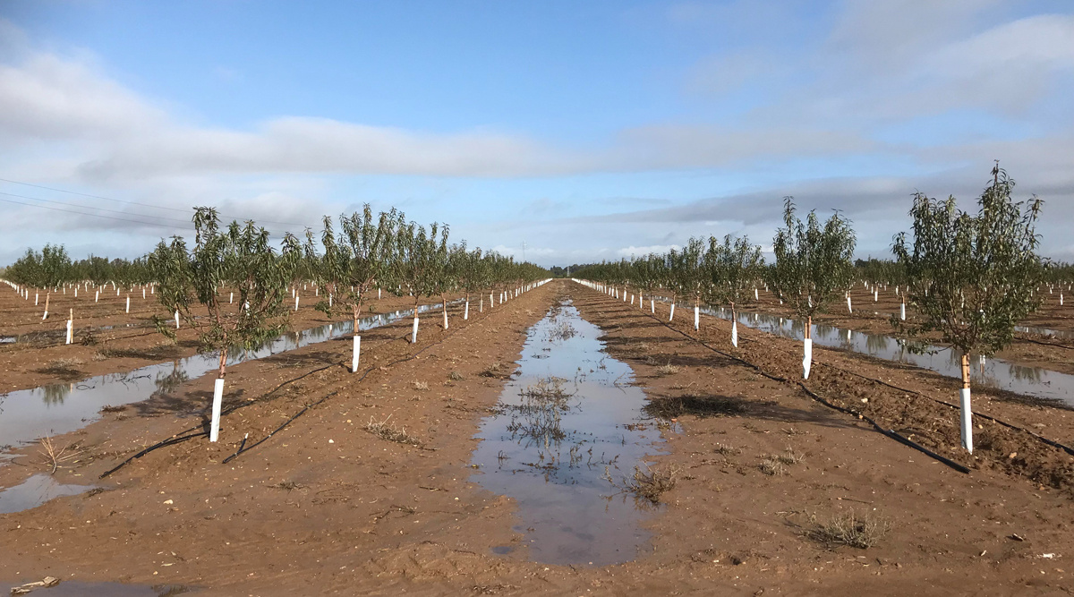 ¿Quieres saber cuánto está lloviendo en nuestra Zona Regable?