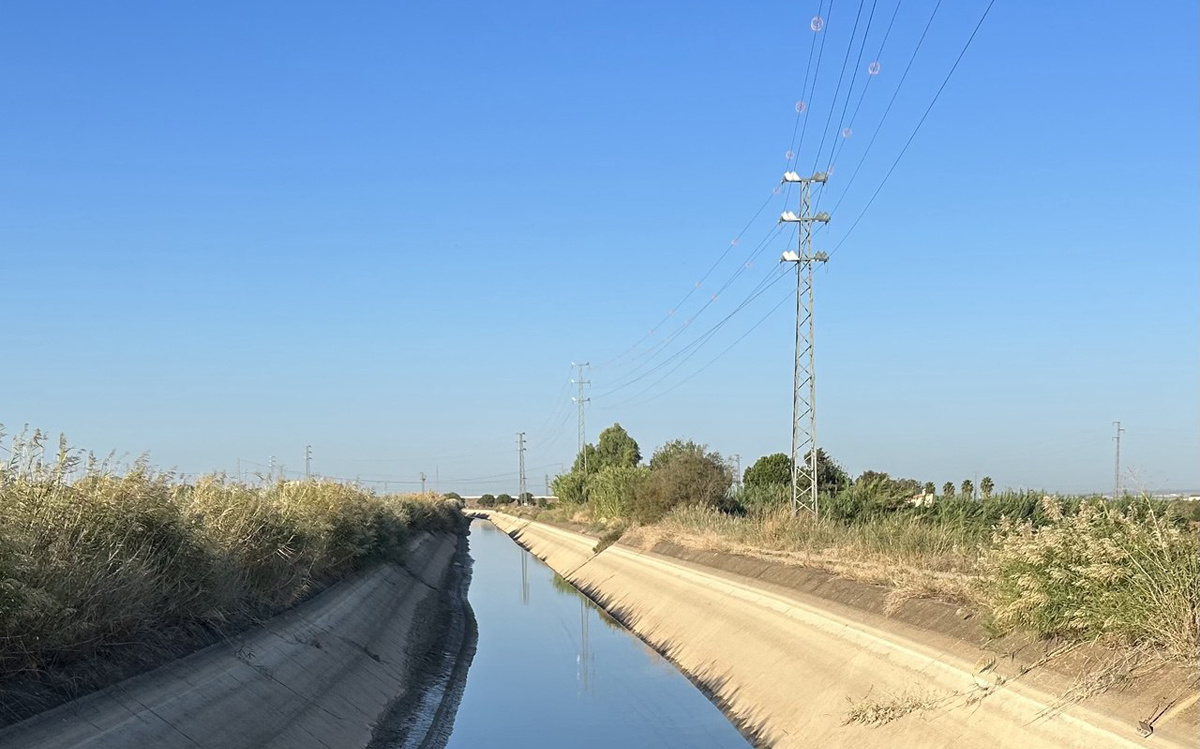 Se aprueba la posibilidad de contratar la doble tarifa eléctrica al año para regantes y explotaciones agrícolas