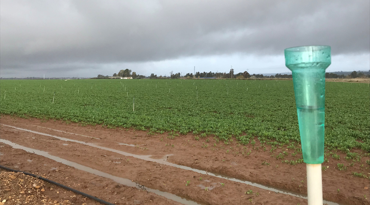 Un marzo histórico de lluvias: la precipitación media en la cuenca ha triplicado la de los últimos 25 años