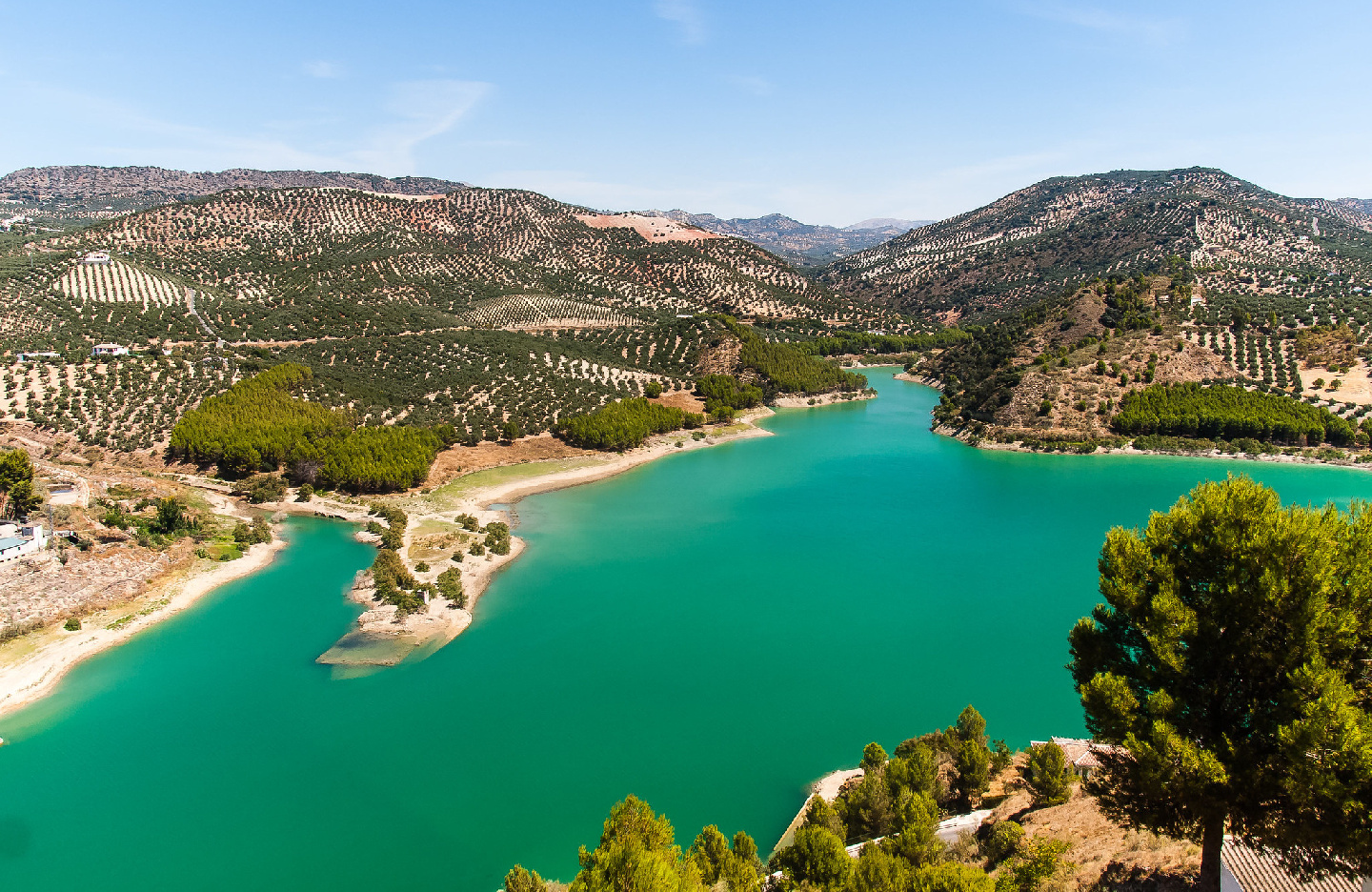 Seis embalses de la Regulación General, por debajo del 40% antes del inicio de la campaña