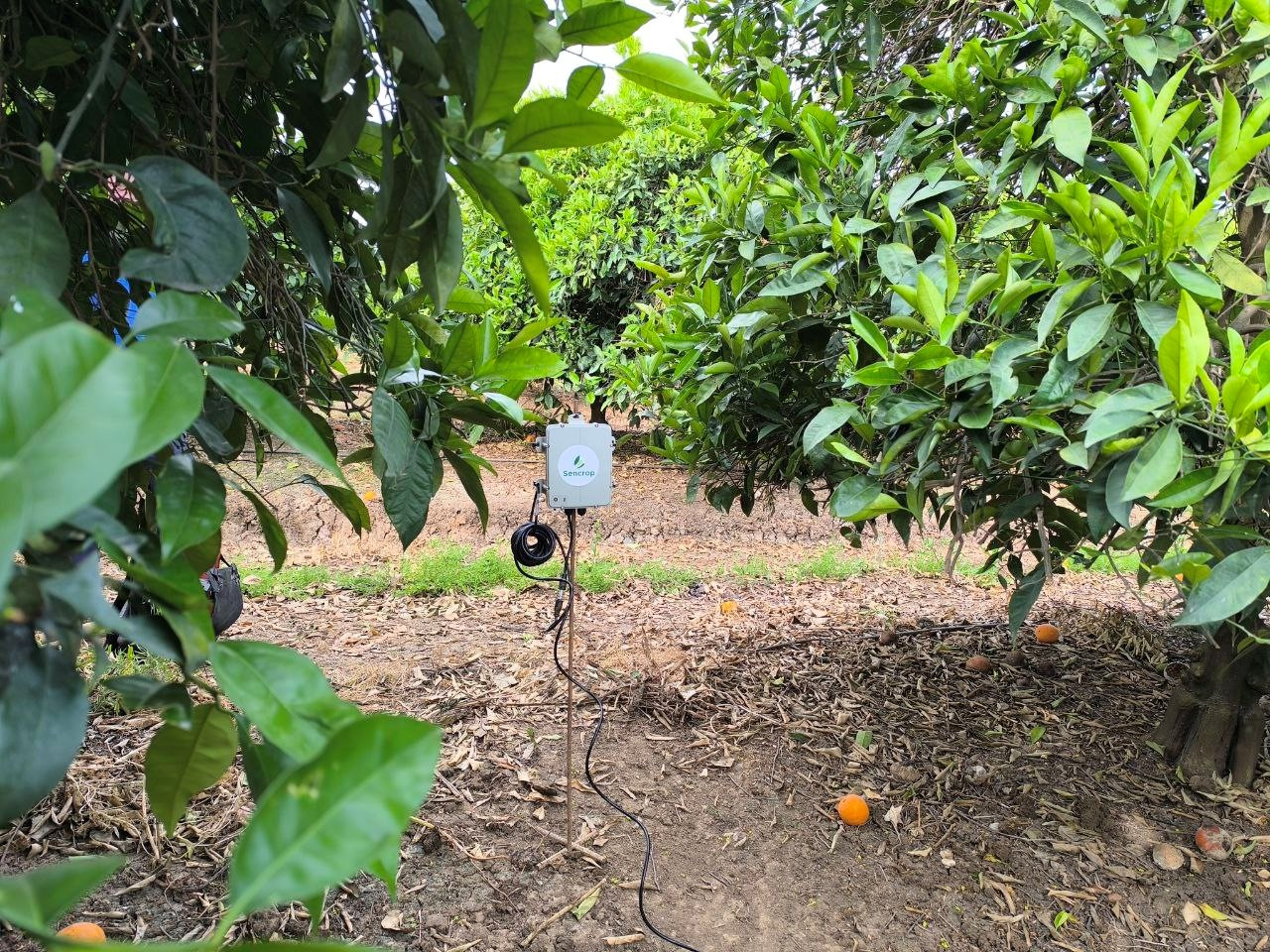 Ejecución de las primeras actuaciones del PERTE DIGITAL I: sondas de humedad y caudalímetros