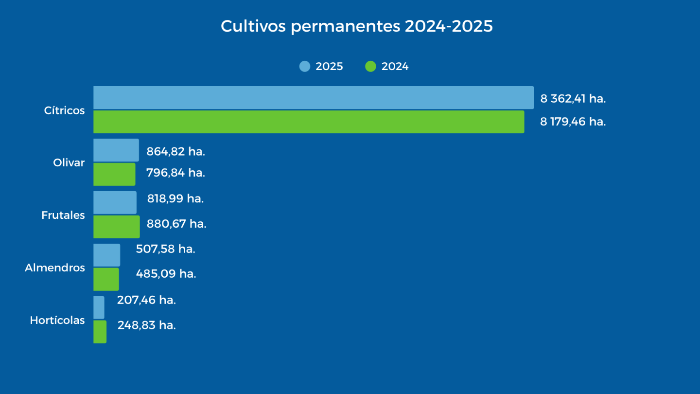 El olivar hace historia en la Comunidad, convirtiéndose en el segundo de nuestros cultivos permanentes