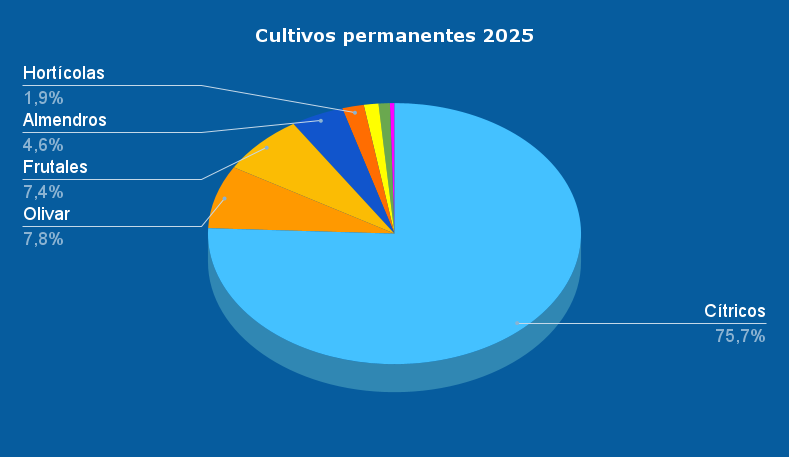 El olivar hace historia en la Comunidad, convirtiéndose en el segundo de nuestros cultivos permanentes