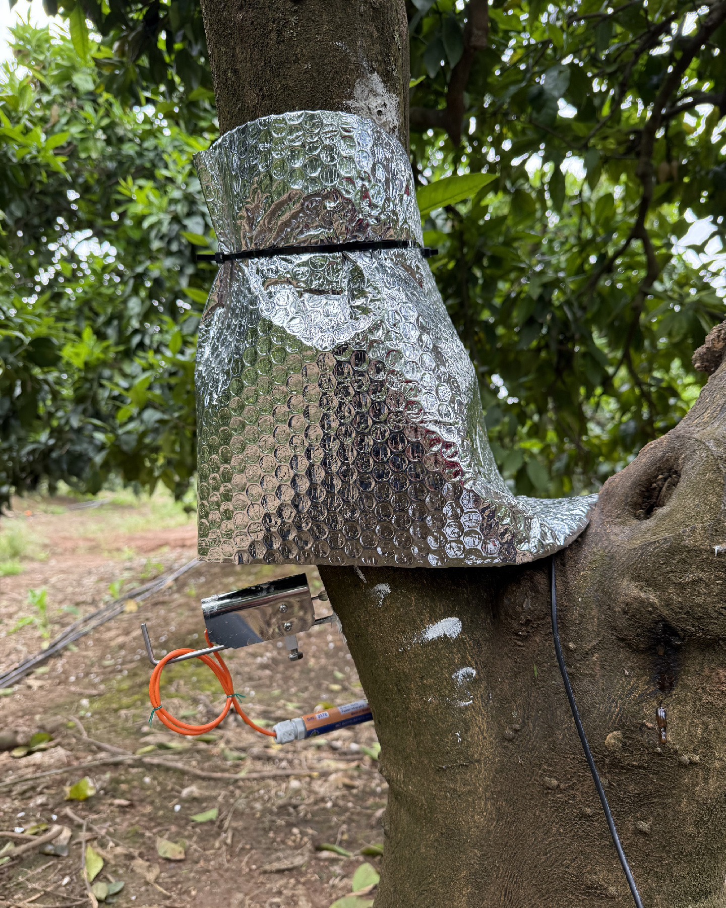 El proyecto ReDuCit avanza en campo: instalada la sensórica en la parcela experimental con el apoyo de nuestra Comunidad de Regantes