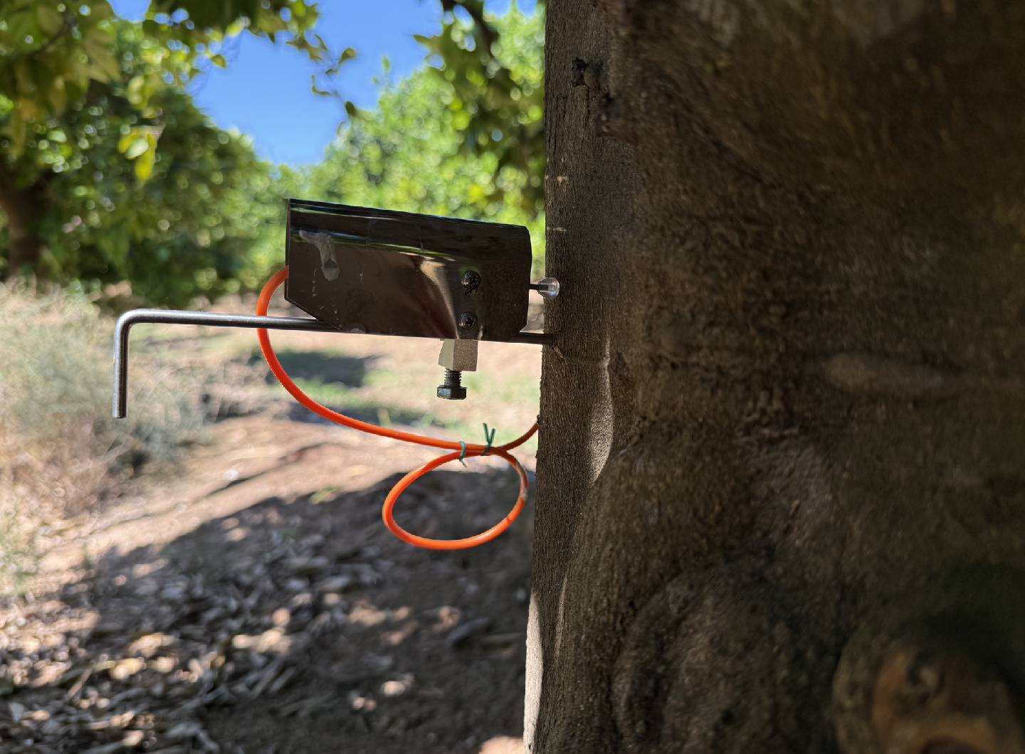 El proyecto ReDuCit avanza en campo: instalada la sensórica en la parcela experimental con el apoyo de nuestra Comunidad de Regantes