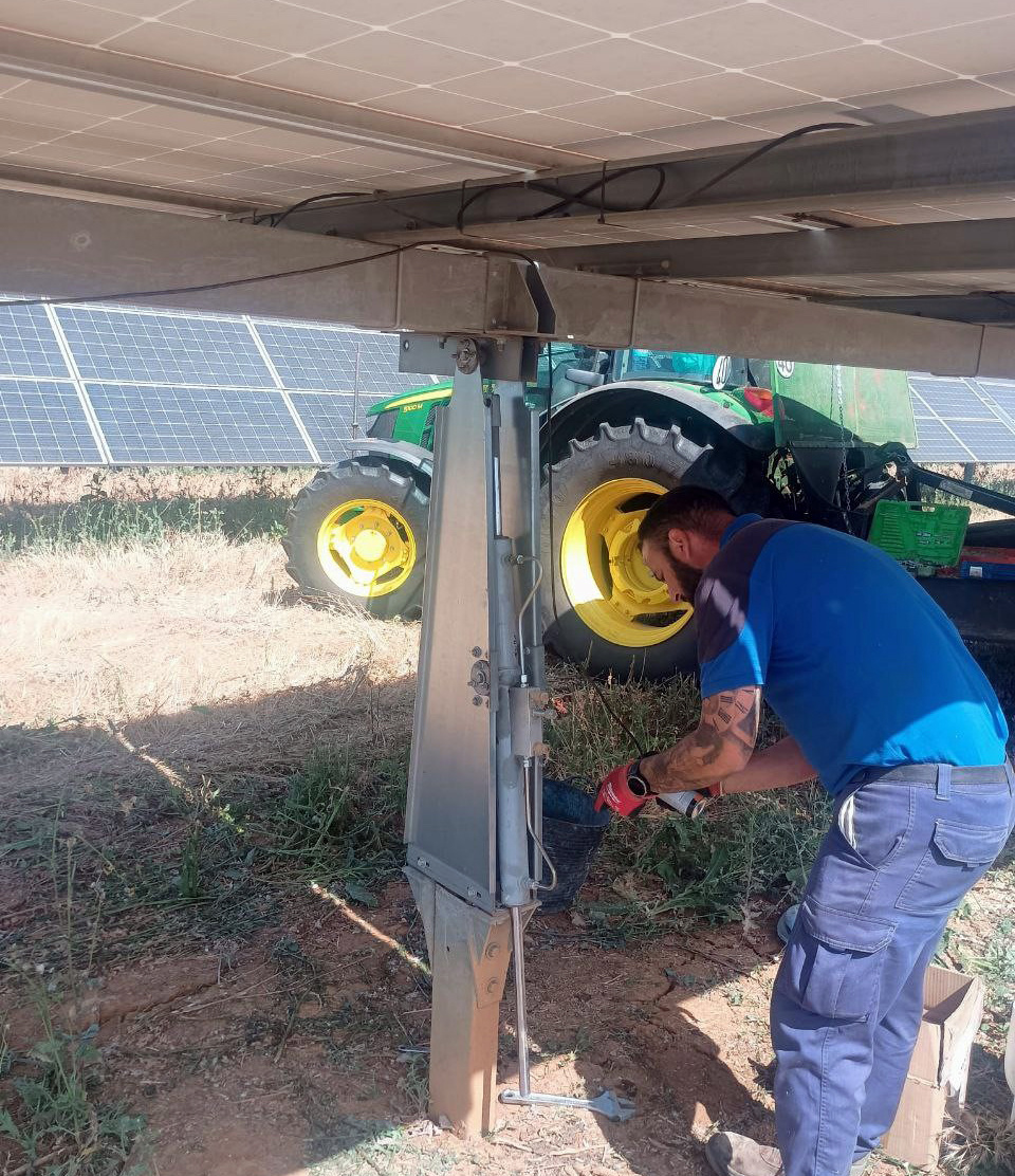 Trabajos de mantenimiento en la planta solar y su entorno