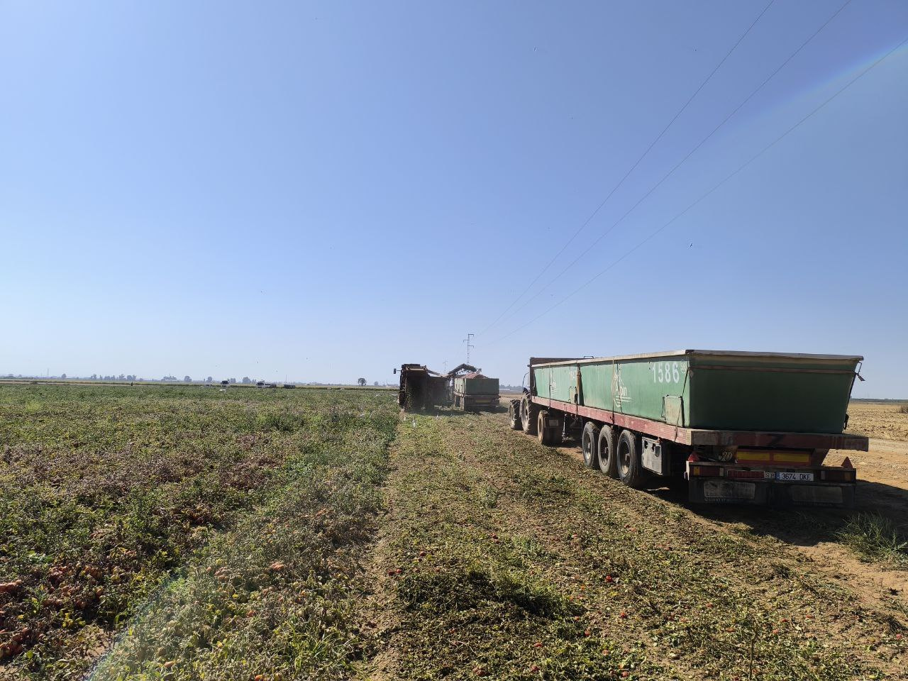 A un mes y medio de la finalización de la campaña, la dotación consumida se sitúa por debajo del 40% de la aprobada