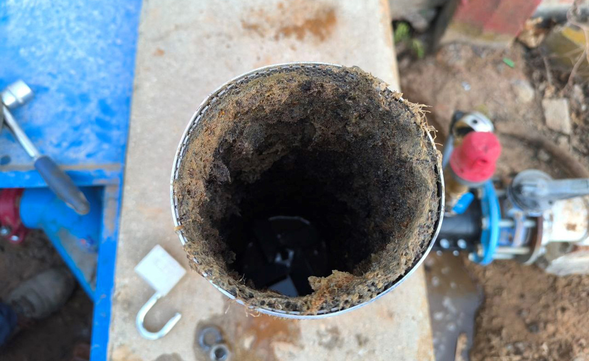 Taponazos por sectores para minimizar el impacto de las especies invasoras