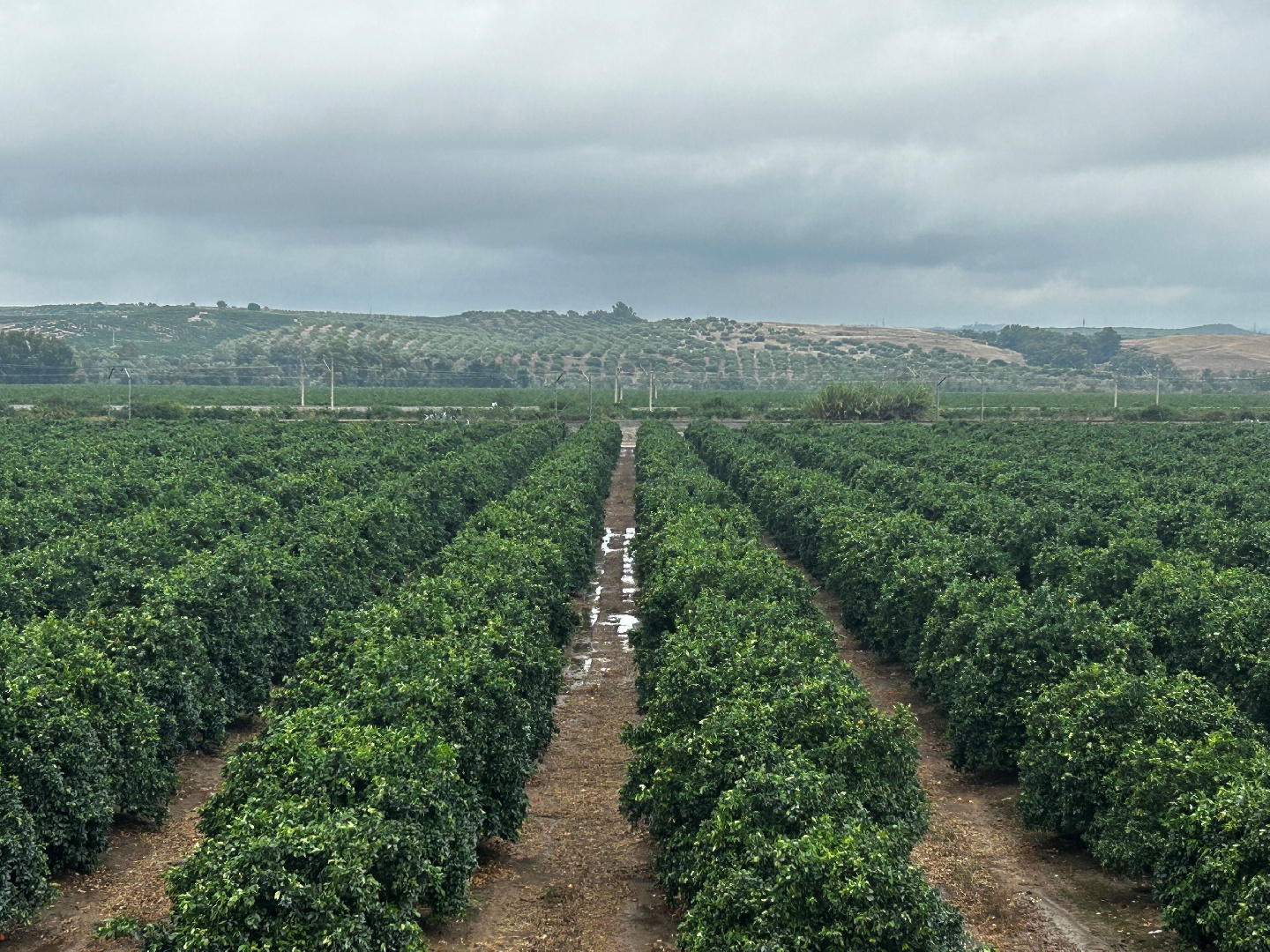 Los datos que dejaron en nuestra comunidad las precipitaciones 