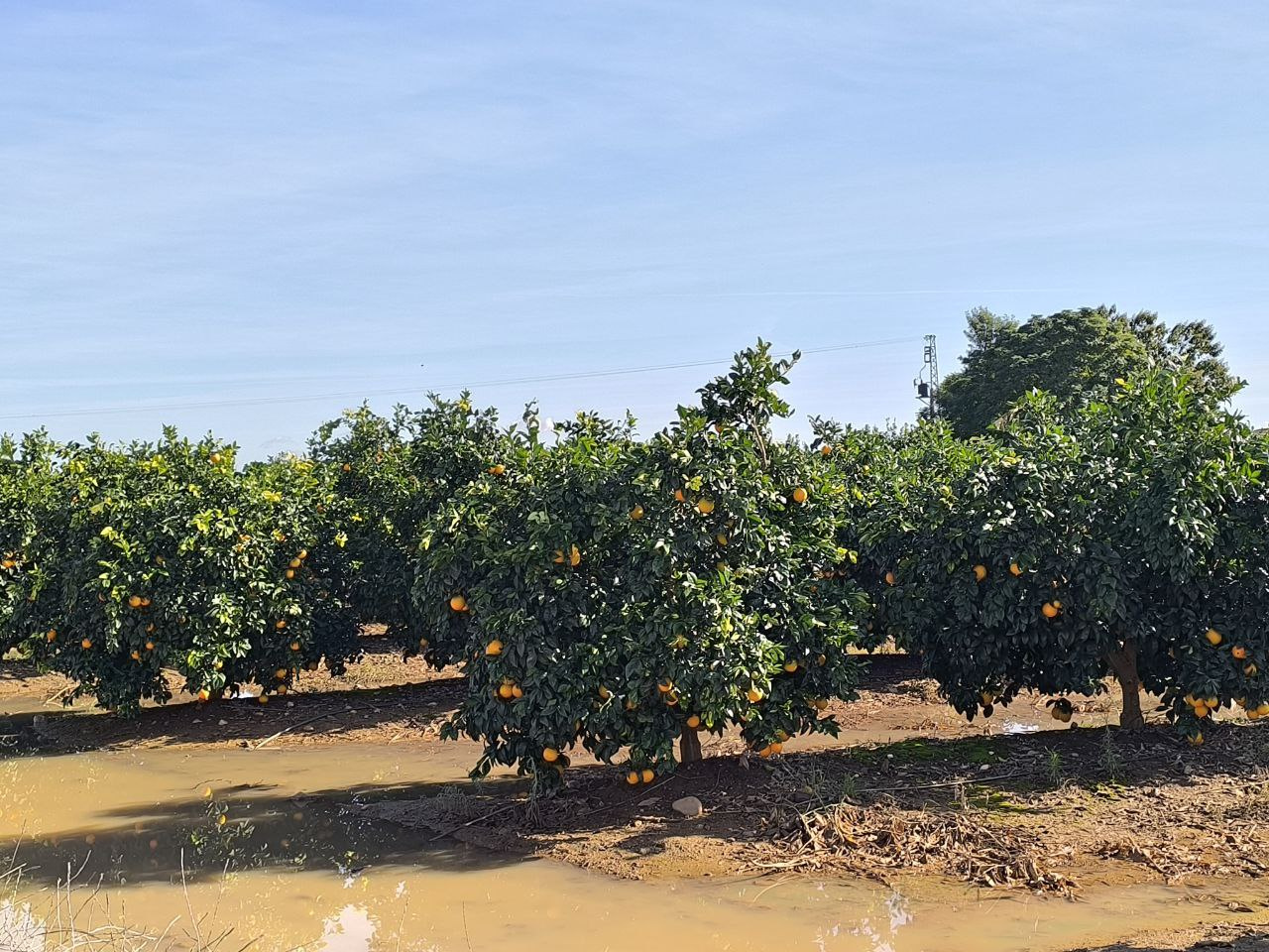 La borrasca Claudia inyecta un balón de oxígeno a la cuenca del Guadalquivir