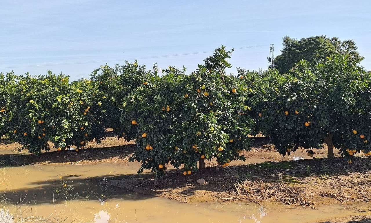 La borrasca Claudia inyecta un balón de oxígeno a la cuenca del Guadalquivir