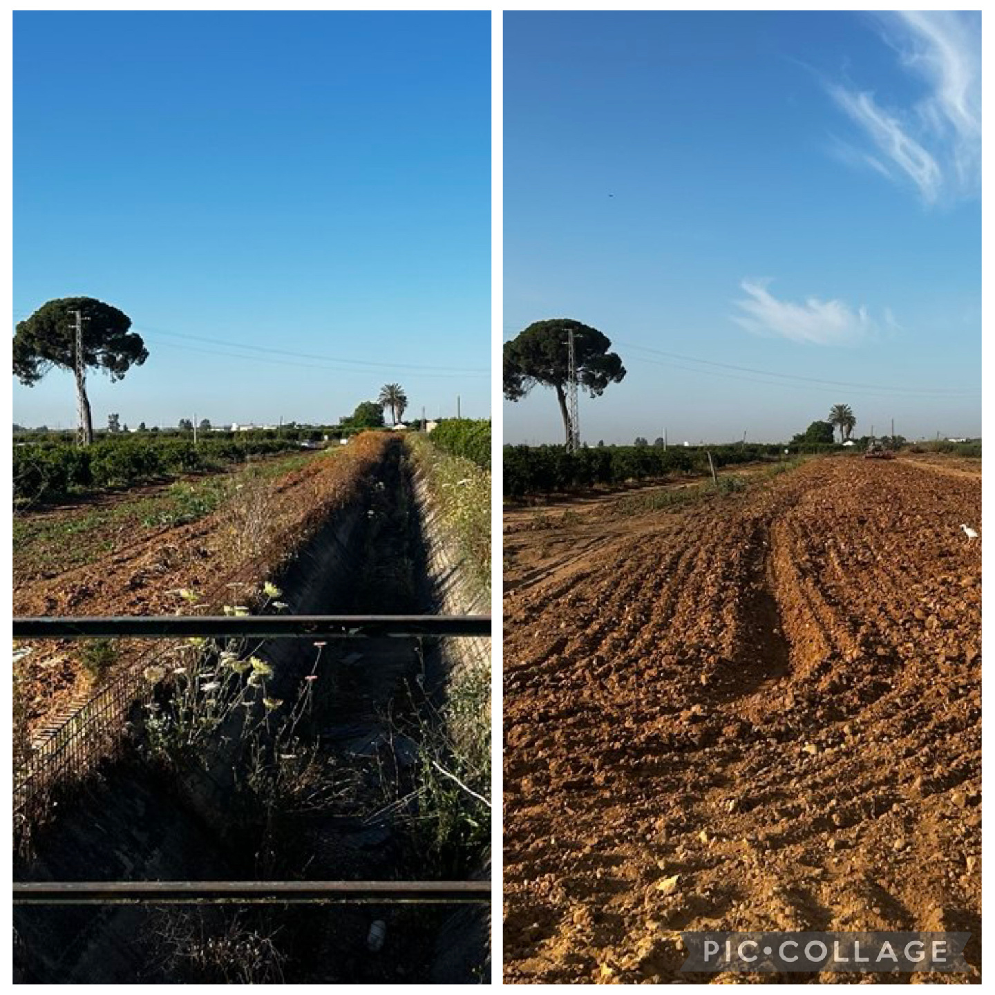 La adquisición de los terrenos de las antiguas acequias en desuso cobra pulso, con resultados extraordinarios para los nuevos propietarios