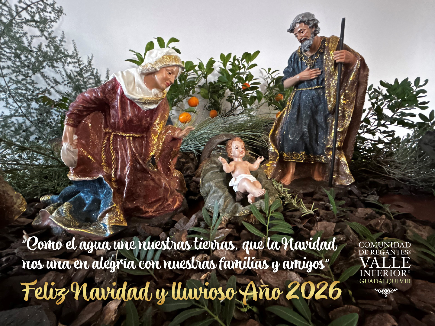 Feliz Navidad y lluvioso Año Nuevo 2026