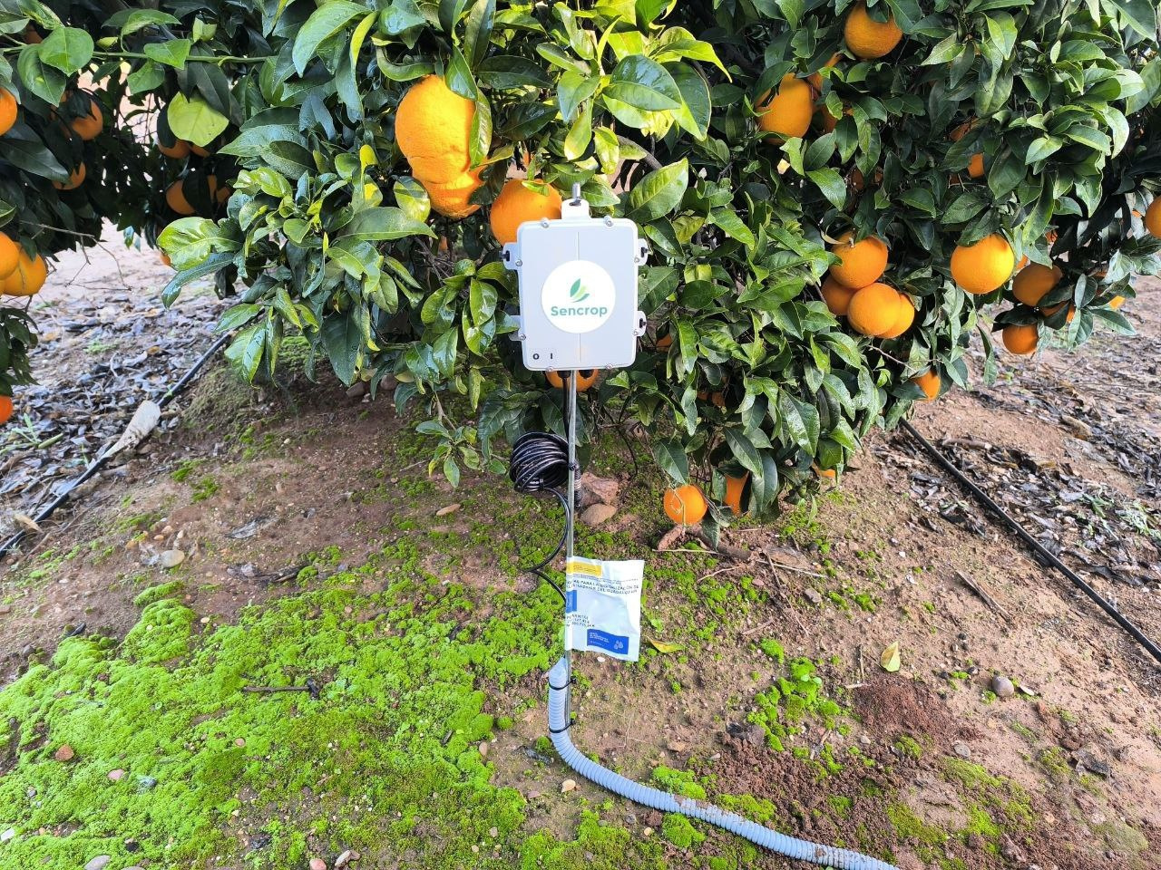 La Comunidad del Valle Inferior instalará un nuevo sistema SCADA y más de 600 contadores inteligentes con las ayudas del PERTE II