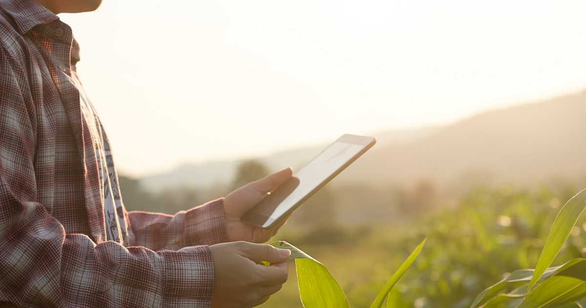 La Comunidad, adjudicataria de una ayuda de Red.es para impulsar su transformación digital
