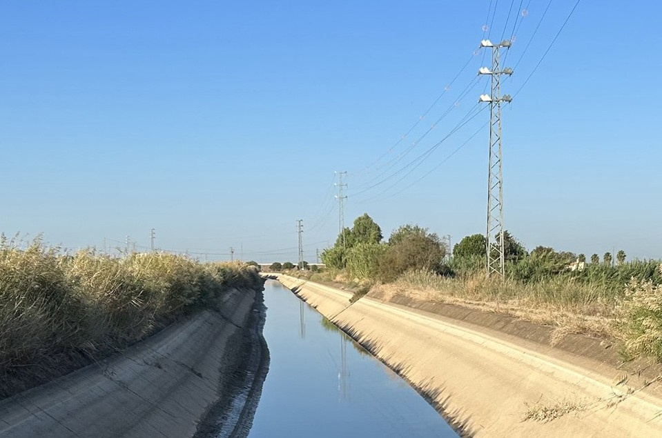 Lo más visto en nuestra web durante el año 2025