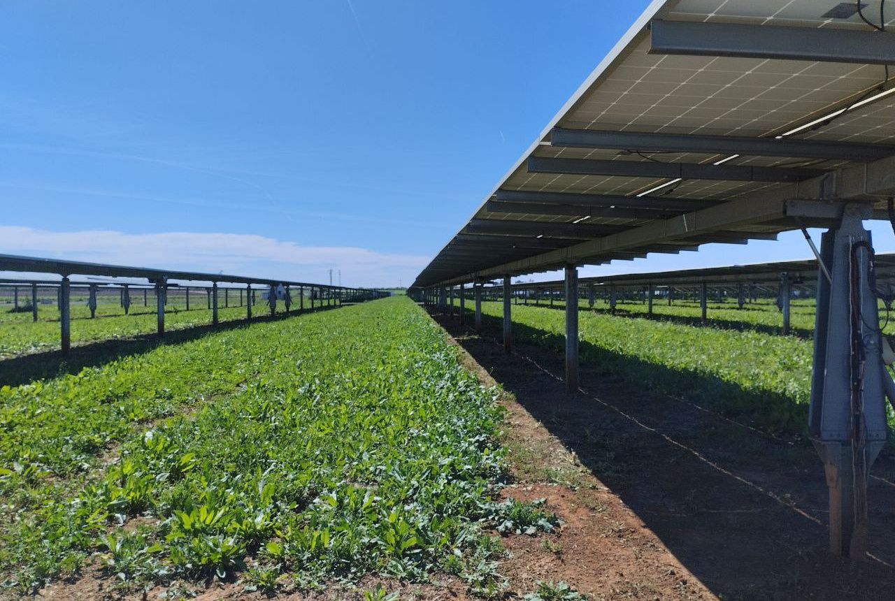 ¿Por qué instalar baterías de almacenamiento?