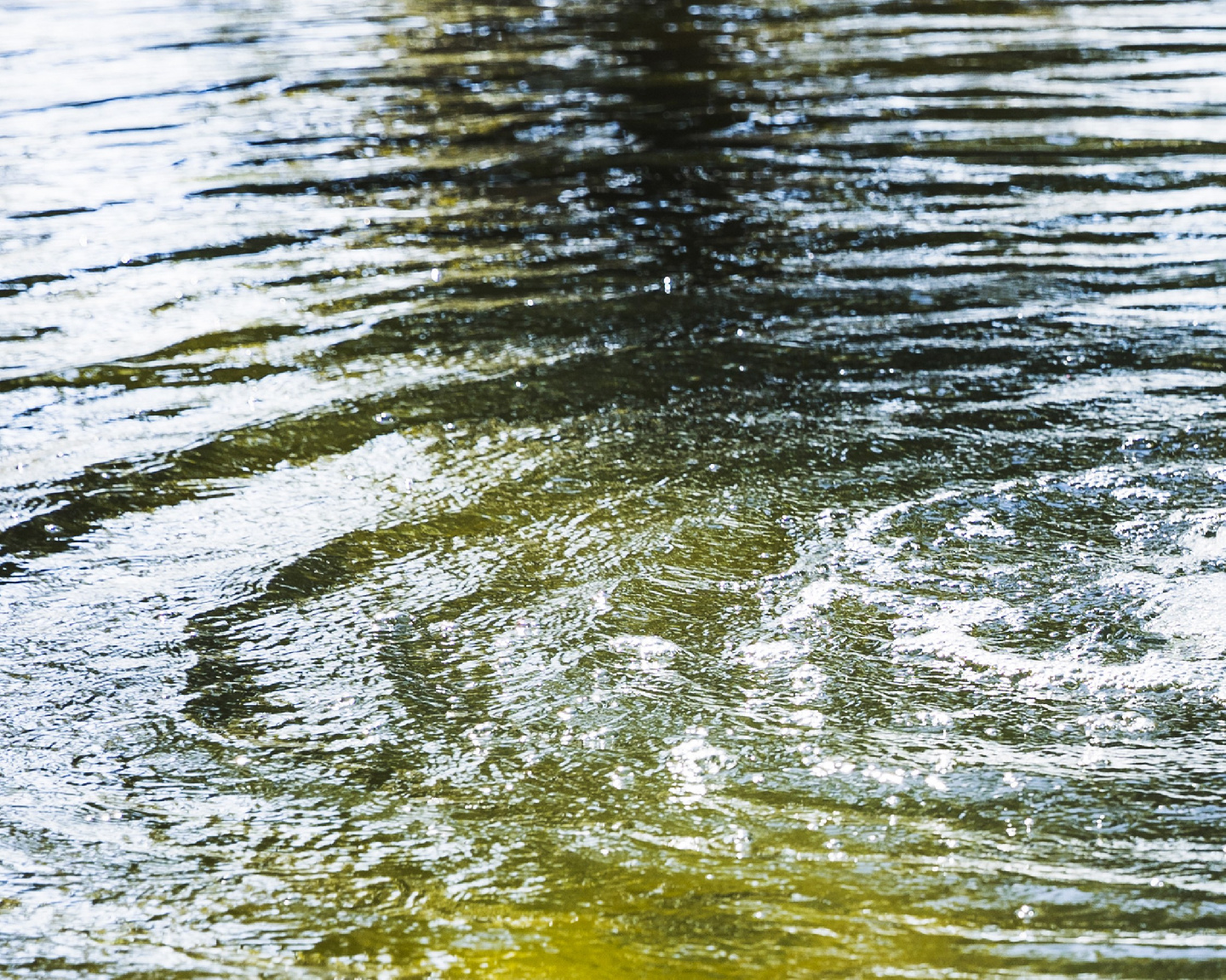 Agua que cuidamos, agua que nos cuida