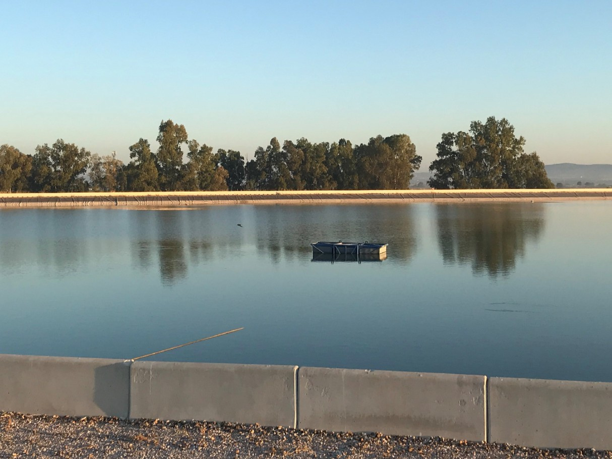 Nuevamente gracias a nuestras balsas se han venido atendiendo las necesidades de riego desde mediados de marzo