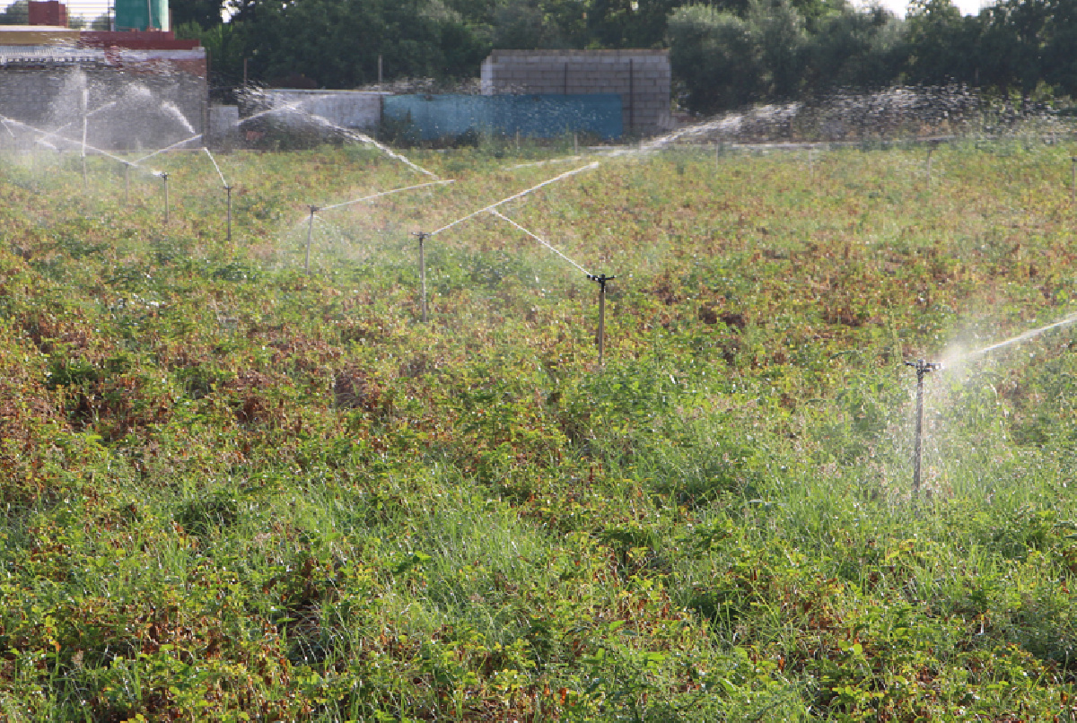 TRES CLAVES PARA AHORRAR AGUA
