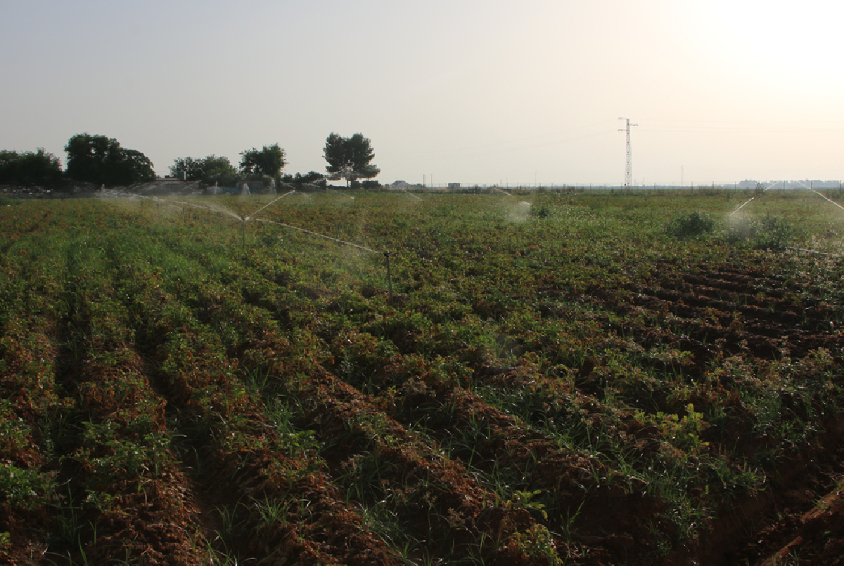 NUESTRA COMUNIDAD LOGRARÁ UN AHORRO DE MÁS DE 1.000 M3/HA AL FINAL DE LA CAMPAÑA DE RIEGO