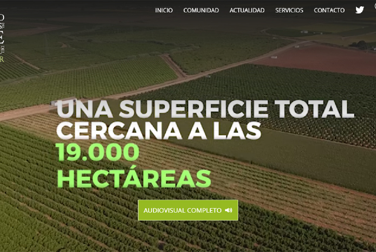 LA WEB ARRANCA CON CASI MEDIO MILLAR DE VISITANTES ÚNICOS