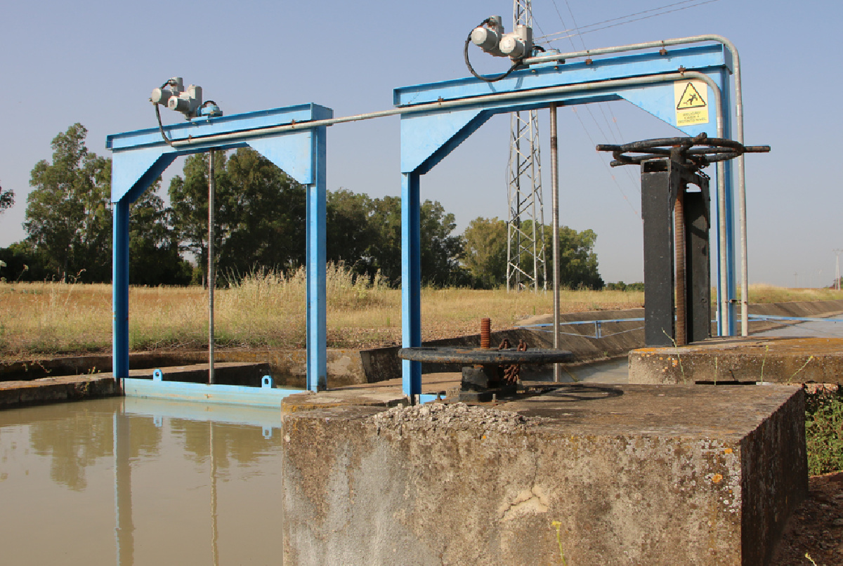 ¿CÓMO AFECTARON LAS RESTRICCIONES DE 2006, 2007 Y 2008 A LA PLANIFICACIÓN DE CULTIVOS?