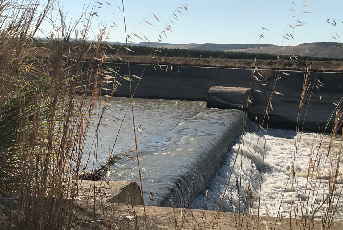 NUESTRA COMUNIDAD UTILIZARÁ 200 M3/HA DURANTE EL PERIODO DE AMPLIACIÓN DE LA CAMPAÑA DE RIEGOS HASTA EL 15 DE OCTUBRE
