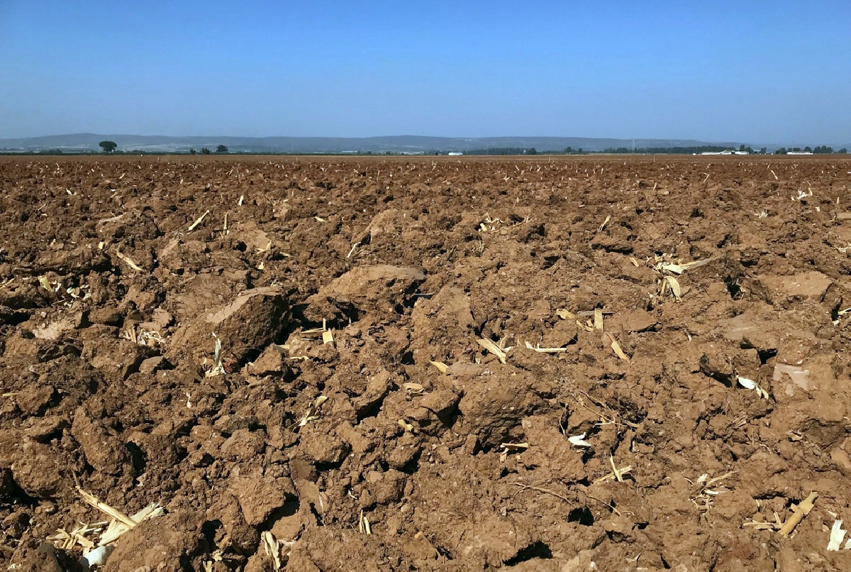 LOS CRITERIOS PARA LA GESTIÓN DE LA SEQUÍA EN NUESTRA COMUNIDAD SERÁN PRESENTADOS ESTE MES AL SINDICATO DE RIEGOS