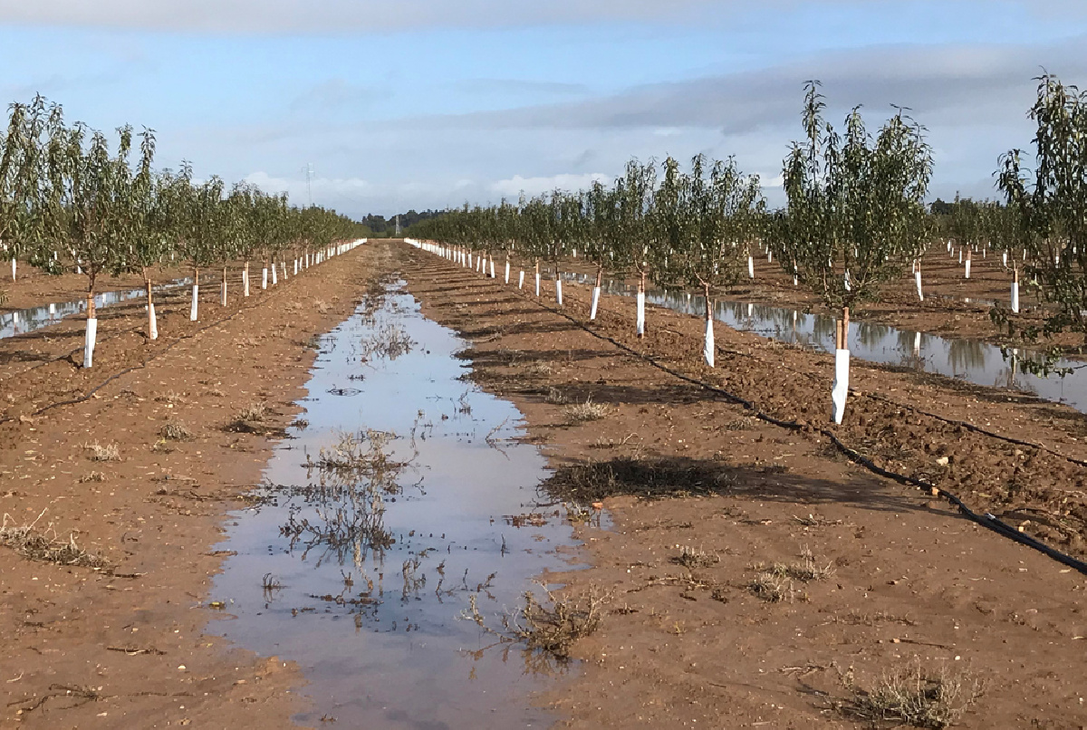 DIEZ DÍAS DE LLUVIAS QUE PUEDEN CAMBIARLO TODO, O NO