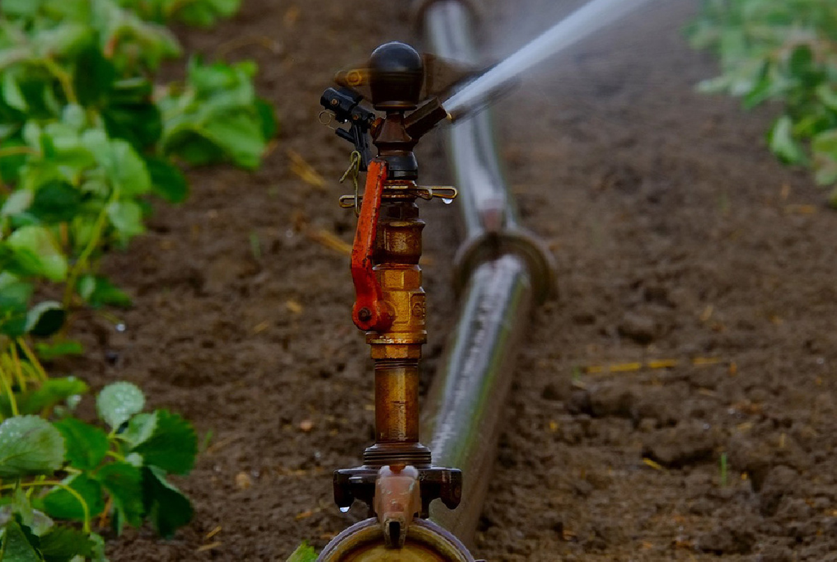 ¿CUÁNTA AGUA HEMOS CONSUMIDO EN LO QUE VA DE CAMPAÑA?