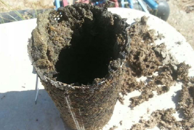 LAS MANIOBRAS PERIÓDICAS DE ARRASTRE Y LIMPIEZA DE BRIOZOOS EN TUBERÍAS SIGUEN DANDO BUENOS RESULTADOS