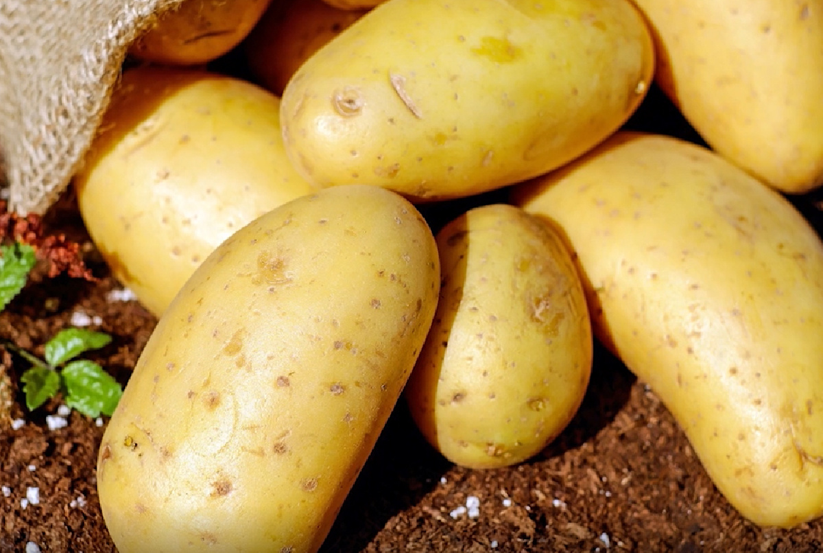 DESDE EL VALLE INFERIOR... AL MUNDO