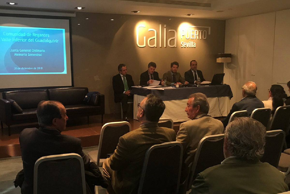 APROBADA LA MEMORIA DE ACTIVIDAD DE 2018 Y EL PRESUPUESTO PARA 2019