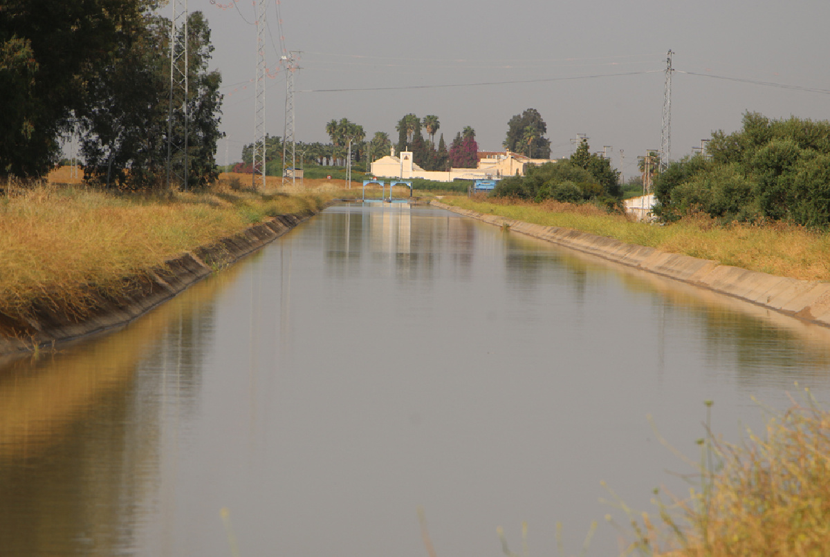 UNA PUBLICACIÓN REMONTA LA HISTORIA DEL CANAL DEL GUADALQUIVIR, ANALIZANDO SU POSITIVO IMPACTO EN EL ENTORNO