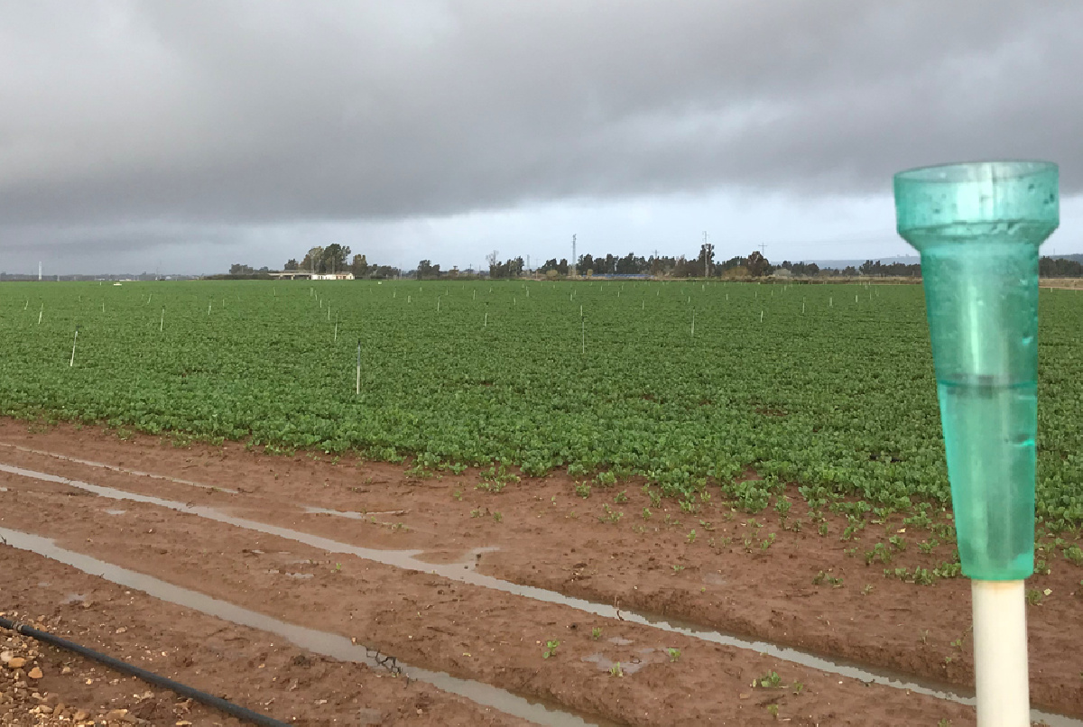 LA ESCASEZ DE LLUVIAS HA OBLIGADO A REALIZAR RIEGOS FUERA DE TEMPORADA PARA LA ARBOLEDA Y LOS CULTIVOS DE INVIERNO