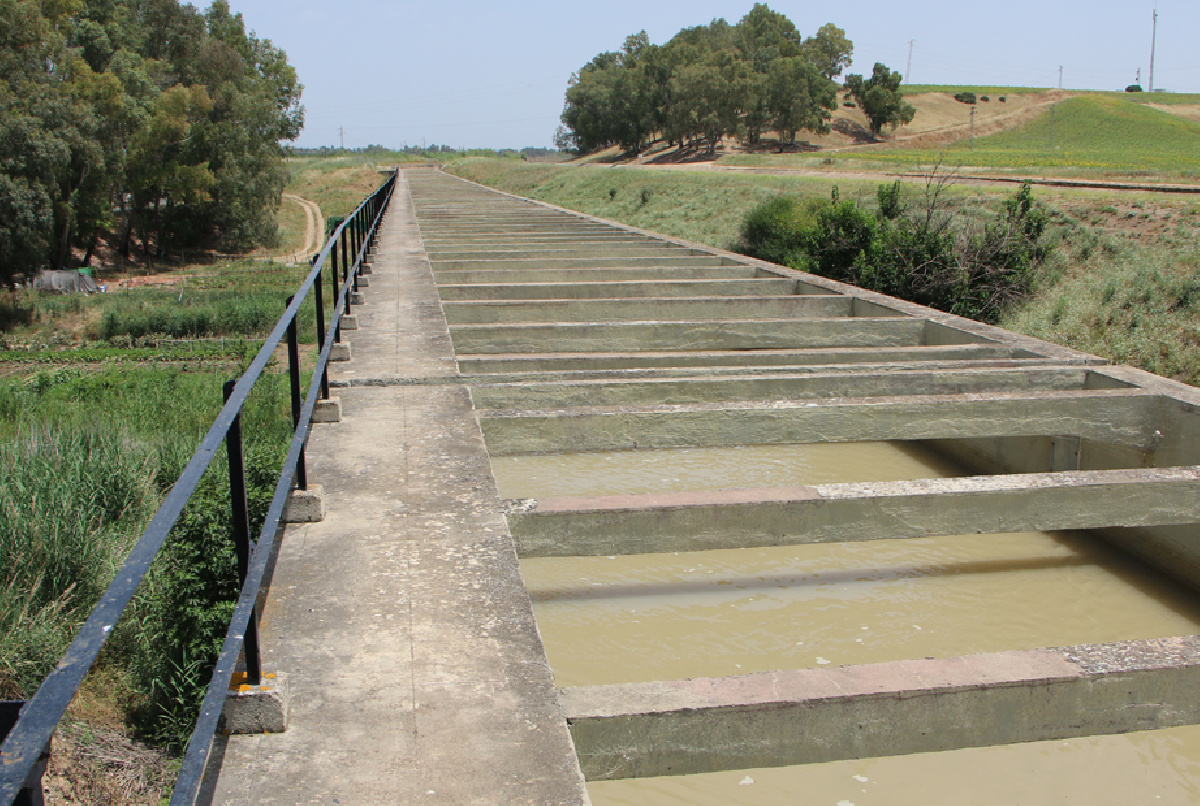 EL COMPROMISO Y LA EFICIENCIA CON EL AHORRO, EN EL ADN DEL VALLE INFERIOR