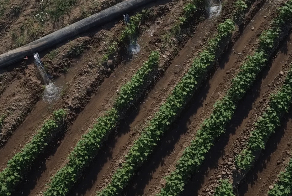 NUMEROSOS MEDIOS SE HACEN ECO DEL ÉXITO DEL VALLE INFERIOR EN EL PROCEDIMIENTO ARBITRAL