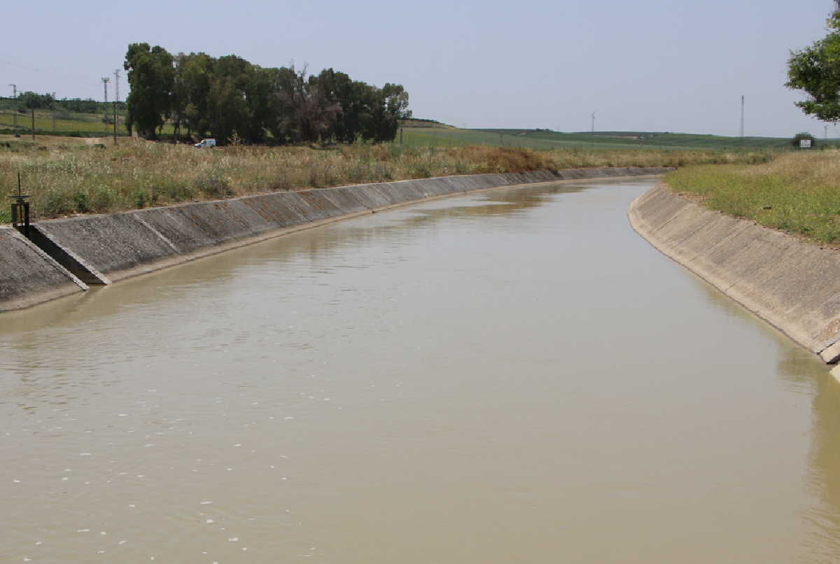 UNA ACTUALIZACIÓN DE LAS ORDENANZAS SERÁ LLEVADA A APROBACIÓN EN LA JUNTA GENERAL DE JUNIO DE 2020