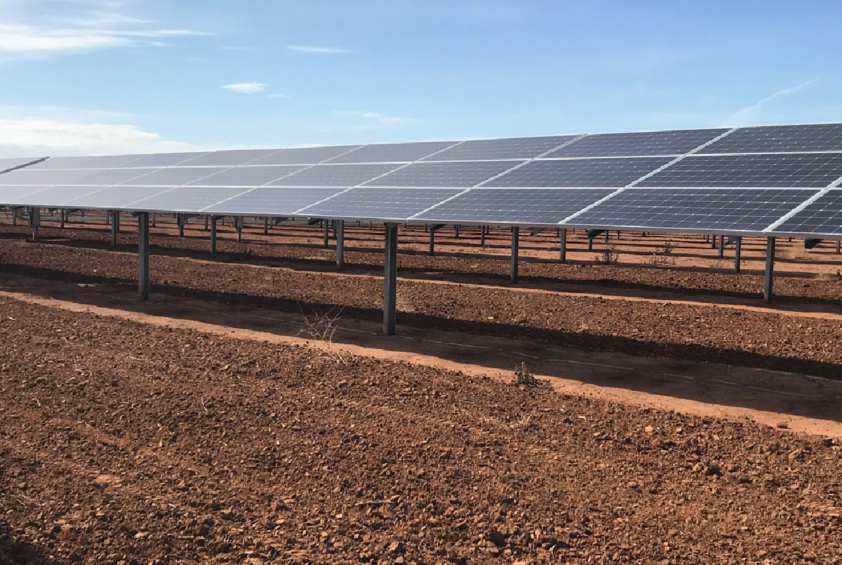 UNA CUBIERTA VEGETAL BAJO LAS PLACAS OPTIMIZARÁ EL FUNCIONAMIENTO DE LA PLANTA SOLAR