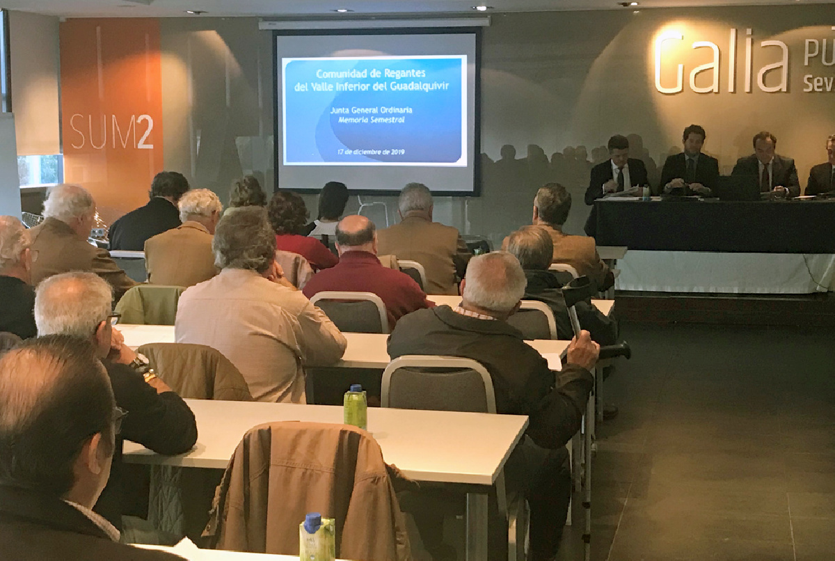 APROBADA LA MEMORIA DE ACTIVIDAD DE 2019 Y EL PRESUPUESTO DE 2020