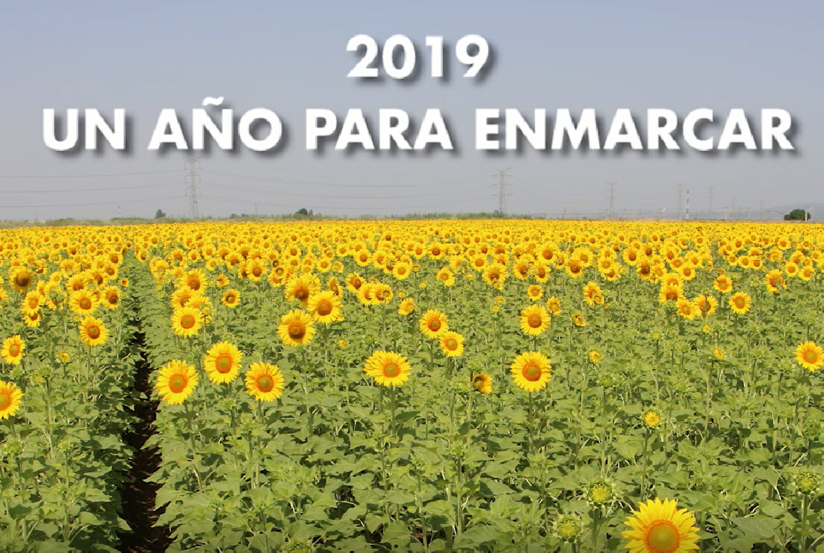 2019: UN AÑO PARA ENMARCAR...